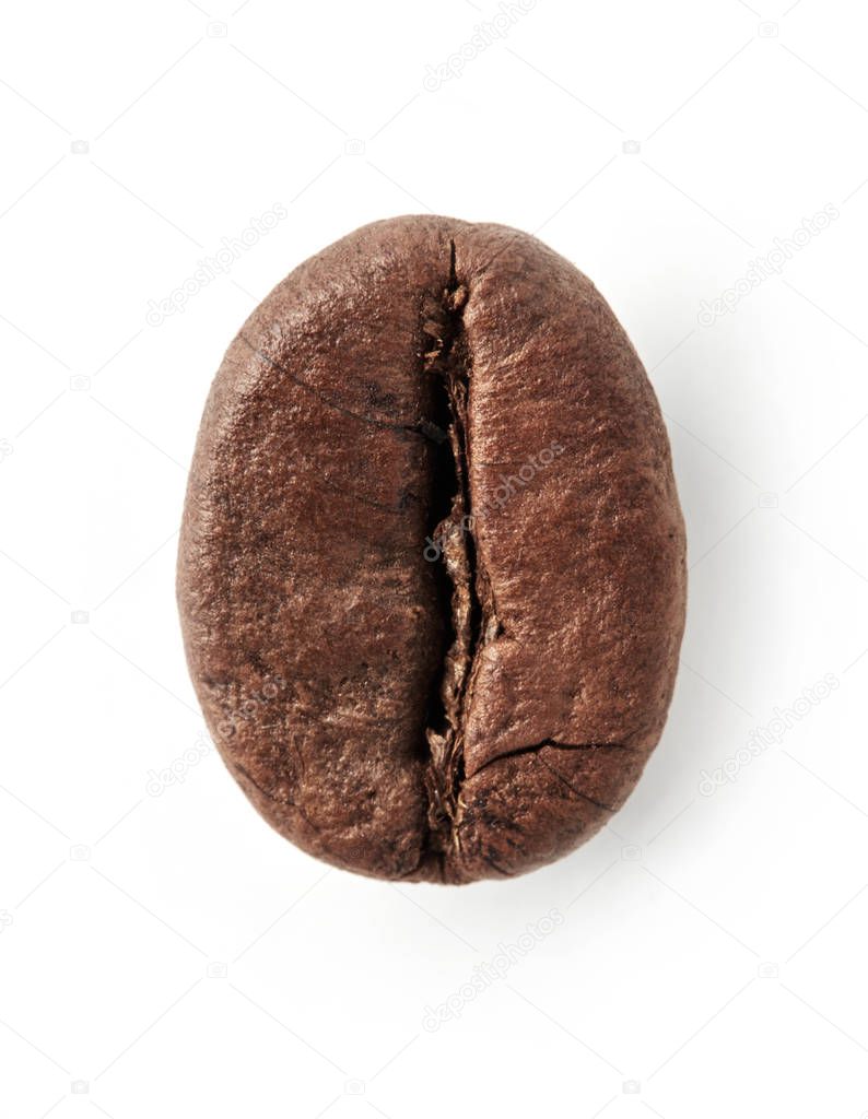 Coffee bean on white