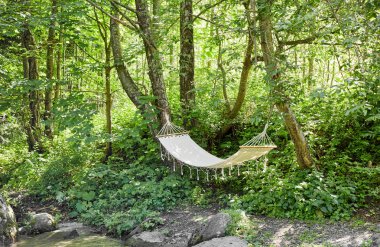 Güzel bir ormanda Hamak