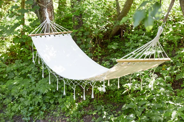 Hammock in a beautiful forest