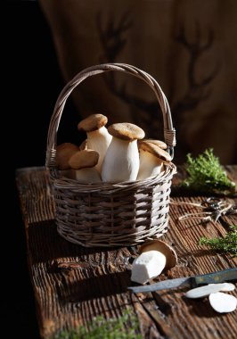 Kral istiridye mantarı sepette