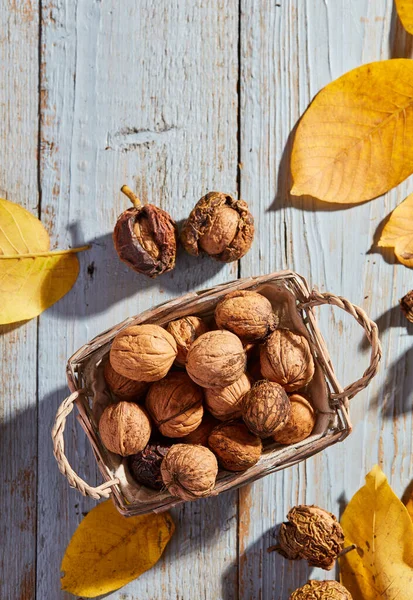 Biologische Walnoten Met Bladeren Hout — Stockfoto