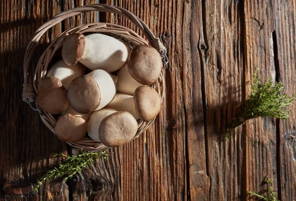 Rei Oyster Cogumelos Uma Cesta — Fotografia de Stock