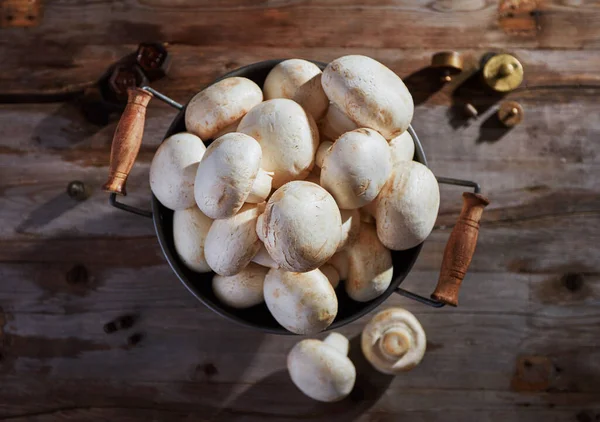 Cogumelos Comestíveis Mesa Vintage — Fotografia de Stock