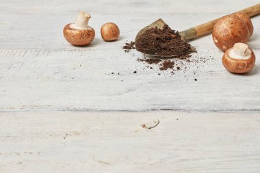 Ahşap masada güzel çiftlik mantarları