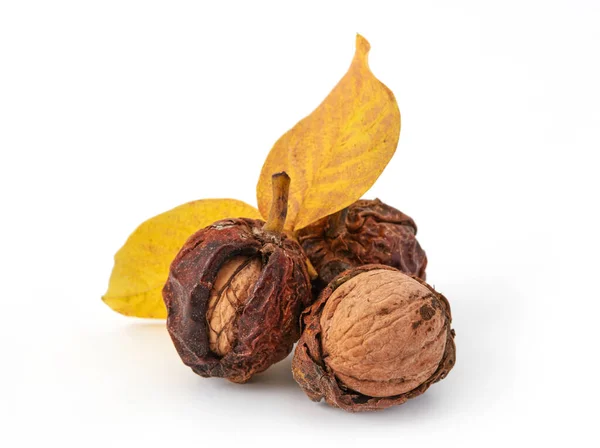 Nueces Aisladas Con Hojas — Foto de Stock