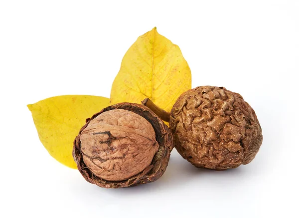 Nueces Aisladas Con Hojas —  Fotos de Stock