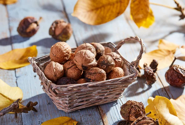 Vlašské Ořechy Listy Dřevěném Stole — Stock fotografie