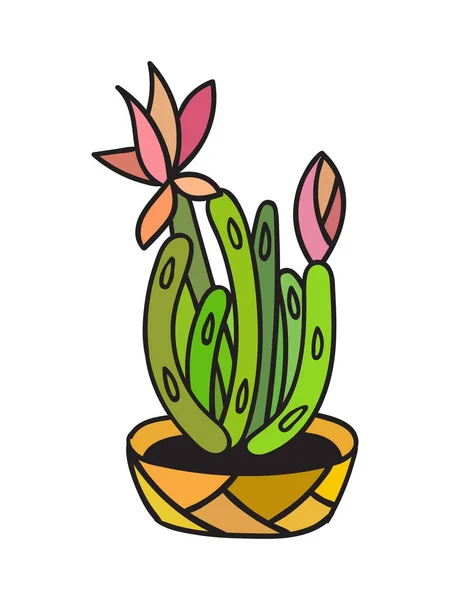 Cactus avec contour noir. Illustration vectorielle . — Image vectorielle