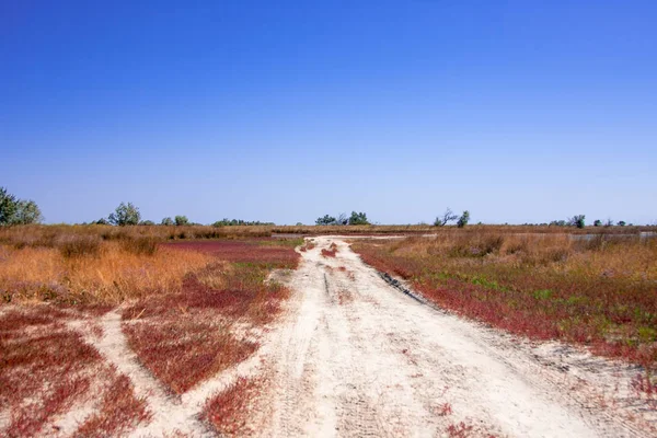 The road in prairies of Kinburn, road to salt lake.