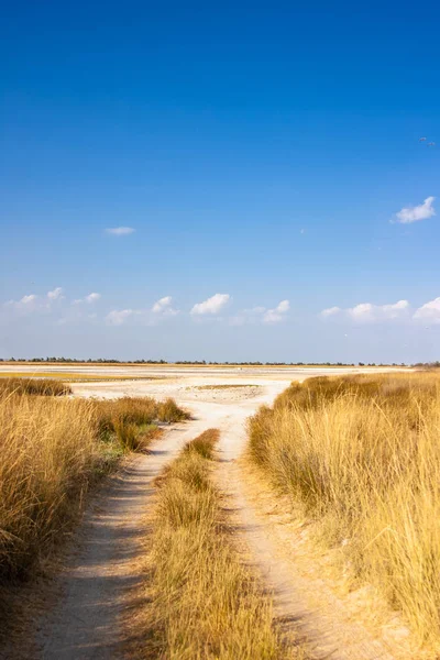 Yolun Prairies Kılburun, Tuz Gölü yol.