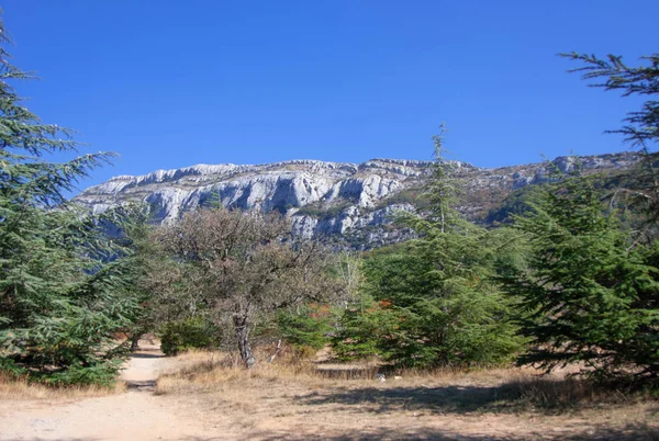 Görünüm Saint Baume, Fransa.