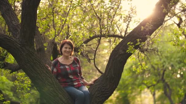 Alte Frau auf einem Baum — Stockvideo