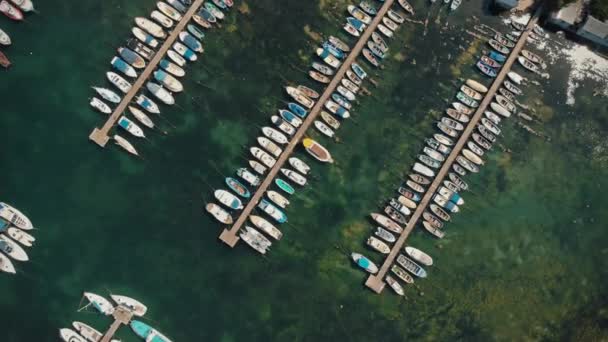 Aerial view of boats docked in port — Stock Video