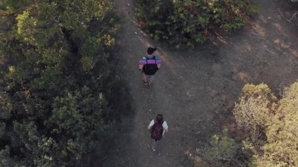 人和妇女旅行与背包徒步旅行在山里 — 图库视频影像
