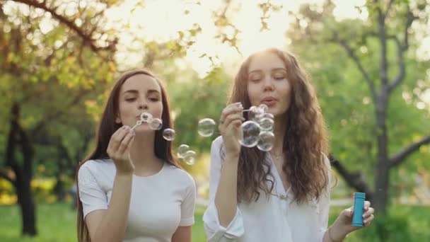 Duas jovens mulheres soprando bolhas — Vídeo de Stock