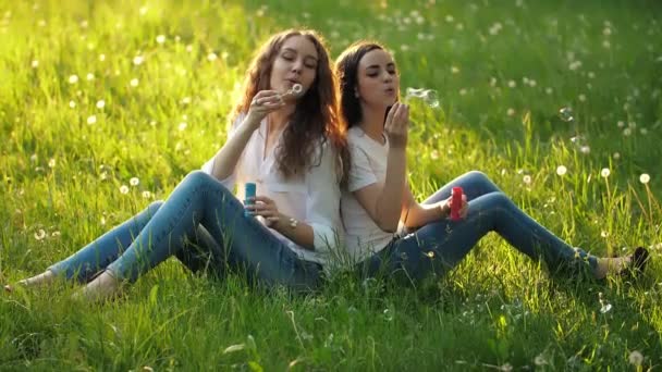 Girlfriends sitting on the grass and blowing bubbles — Stock Video