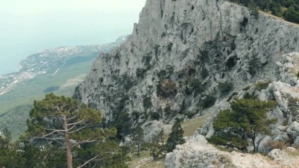 Vista aérea de rochas e árvores — Vídeo de Stock