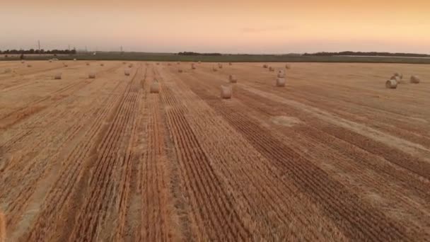 Haystack agrisultura vista campo de fazenda — Vídeo de Stock