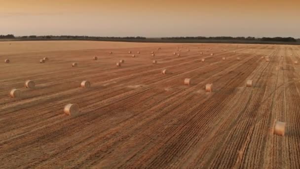 Vue aérienne balles de paille sur le terrain — Video