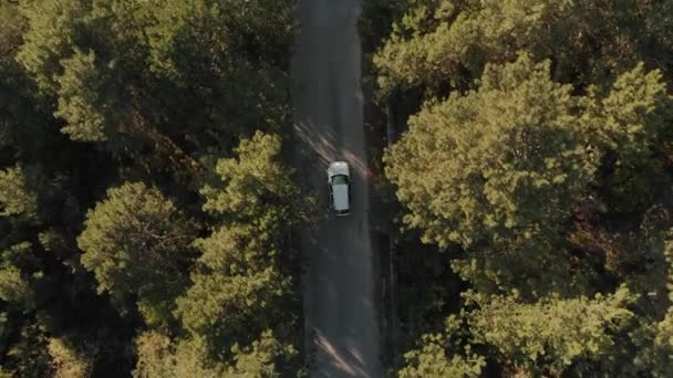 Luchtfoto van auto verplaatsen op de weg — Stockvideo