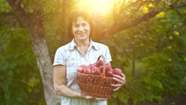 Mujer sosteniendo una cesta de manzanas — Vídeos de Stock