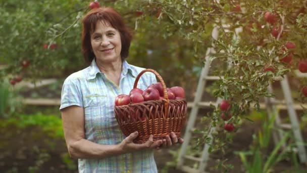 사과 한 바구니를 들고 있는 여자 — 비디오