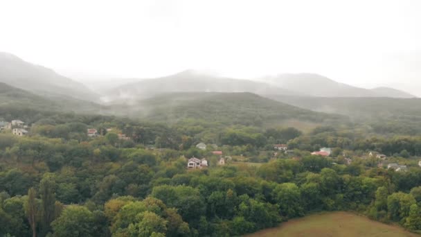 Huizen in het bos — Stockvideo