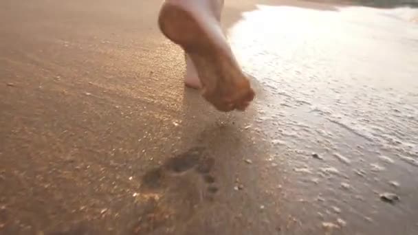 Feet of a woman walking on a beach — Stock Video