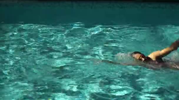 专业游泳运动员在游泳池 — 图库视频影像