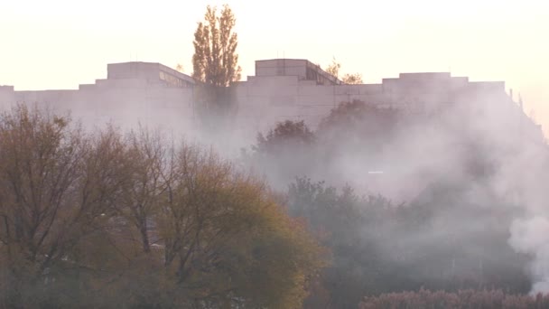 La fumée couvre une ville — Video