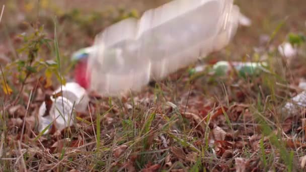 Alguém joga uma garrafa de plástico na natureza — Vídeo de Stock
