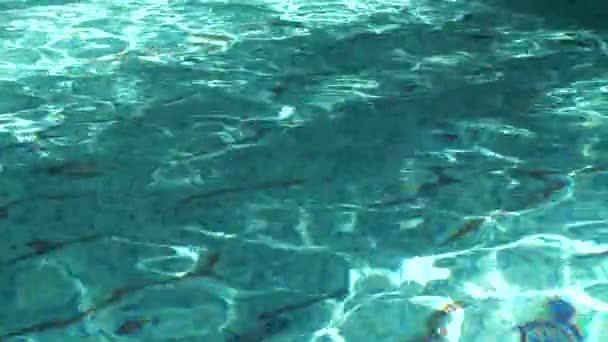 Blue water in swimming pool — Stock Video