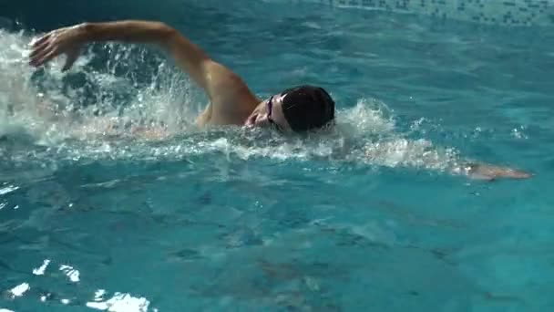 Мужчина плавает в бассейне — стоковое видео
