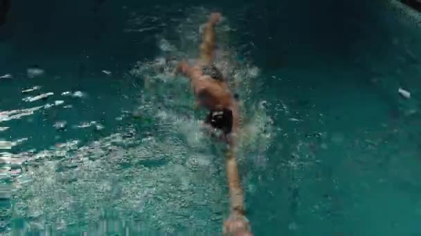 Man swims in the pool- aerial — Stock Video
