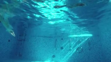 Adam Havuza Dalıyor