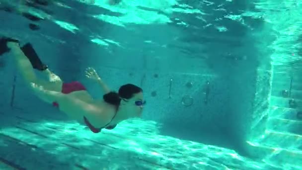 Hombre de buceo en la piscina — Vídeo de stock