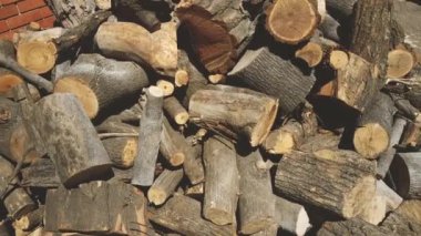 Bir yığın biçilmiş kütük