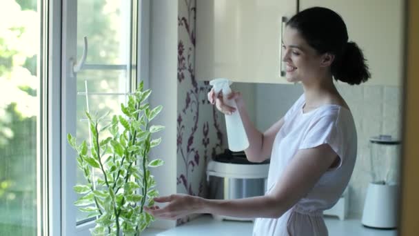 Молода жінка доглядає за кімнатною рослиною — стокове відео