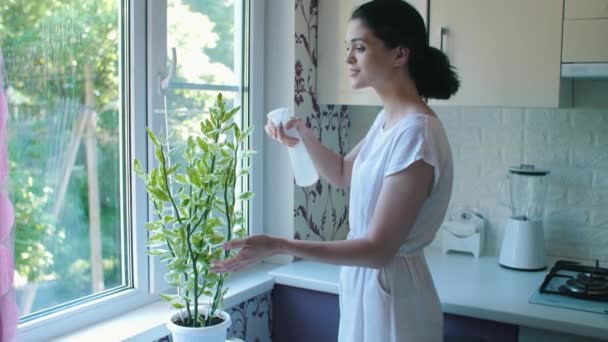 Femme pulvérisant une plante avec de l'eau — Video