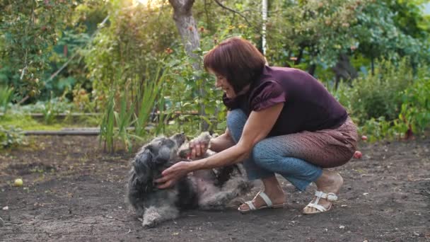 女人和她的狗一起玩 — 图库视频影像