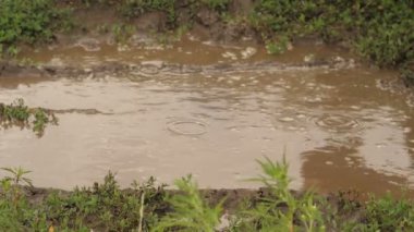 Bir arabanın tekerlekleri altından Kir