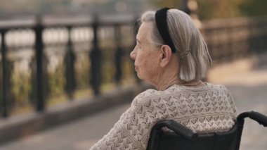 Yaşlı kadını engelle. Parkta tekerlekli sandalyede otur.