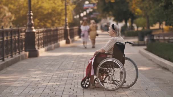 Yaşlı kadın doğada tekerlekli sandalyede oturuyor. — Stok video