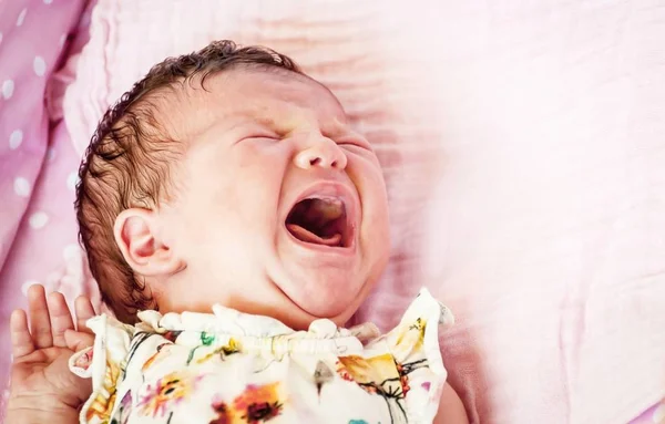 Hambrienta Niña Recién Nacida Caucásica Llorando Duro Exigiendo Leche Materna —  Fotos de Stock