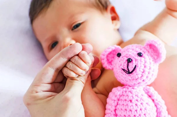父亲握着一只小手与一个可爱可爱的婴儿女孩的手指与粉红色泰迪熊在框架 — 图库照片