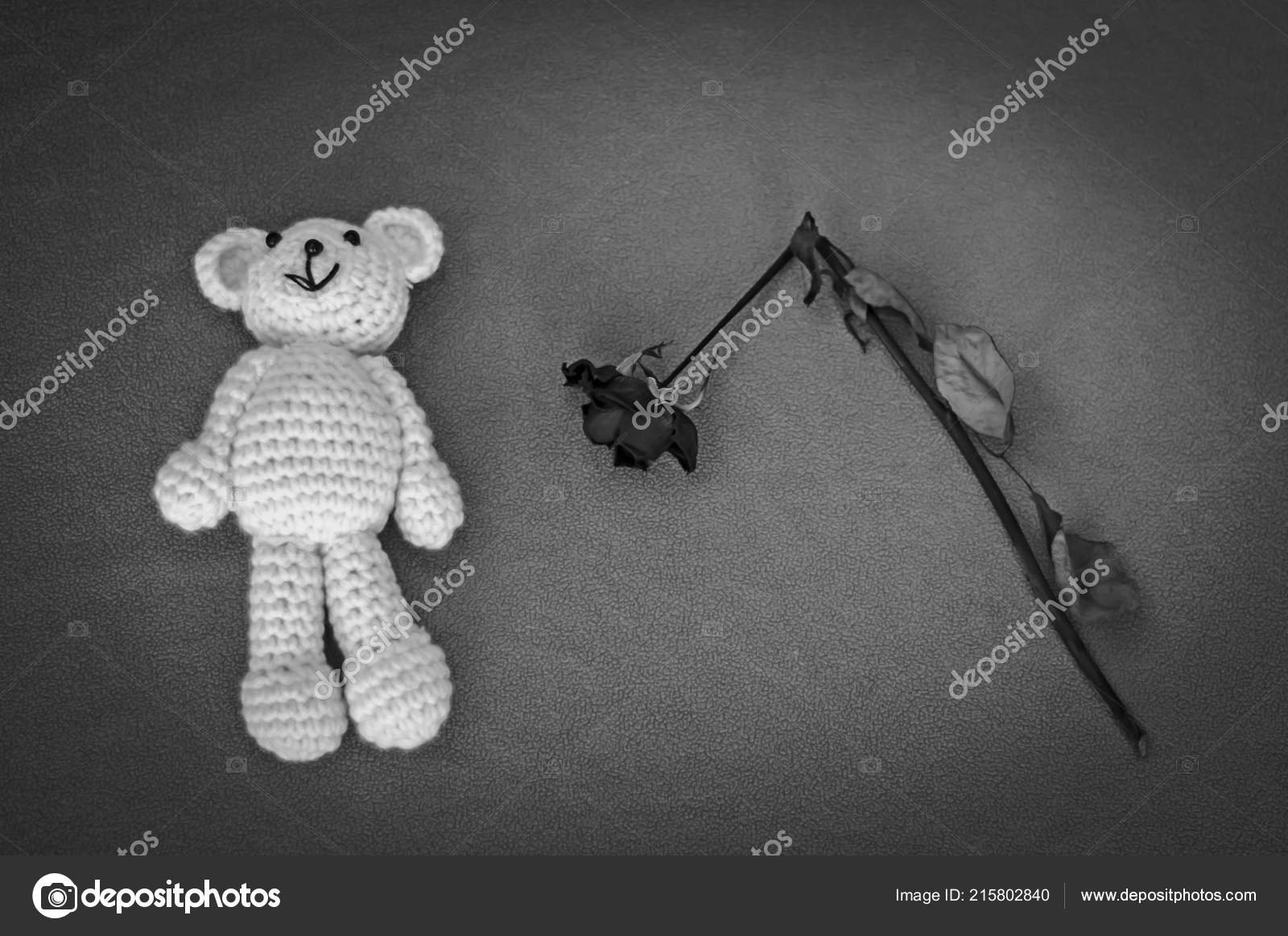 soft teddy bear for newborn
