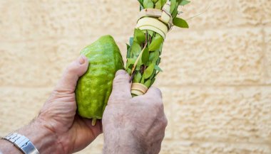 Elinde beyaz bir adam Yahudi Sukkot tatil için dört tür geleneksel bir dizi tutan: Etrog (yeşil Narenciye meyve), lulav, hadas ve arava. Sukkot nimet söyleyerek.