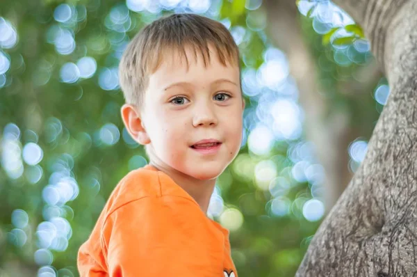 公園や森で木に登ってオレンジ シャツでかわいい白人の青い目子 背景をぼかした写真 — ストック写真