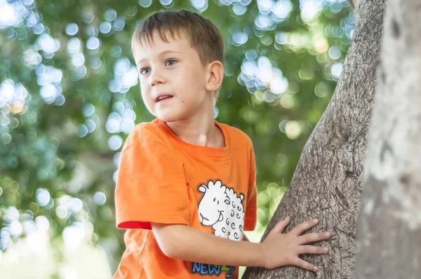 Niedlichen Kaukasischen Blauäugigen Kind Einem Orangefarbenen Shirt Auf Den Baum — Stockfoto