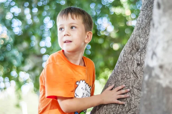 可爱的白种人蓝眼睛的孩子在一个橙色的 T恤爬上树在公园或森林 背景模糊 — 图库照片
